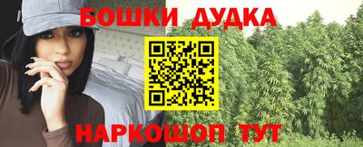 индика Балашиха