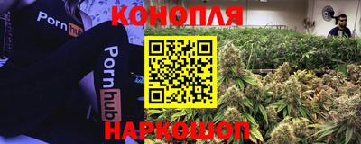 spice Балаково