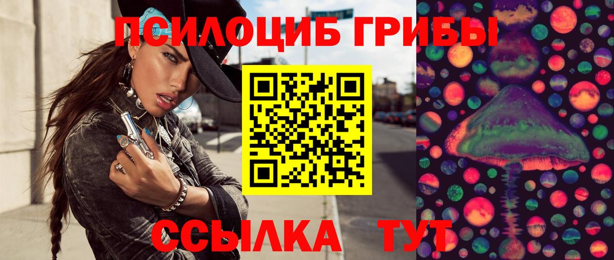 Дивногорск  Псилоцибиновые грибы прущие грибы  Вход с VPN 